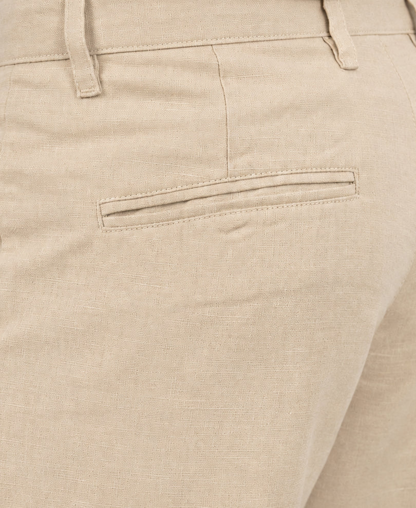 Beige Regular Fit Trouser